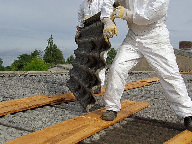 Asbestos Removal/ Encapsulation